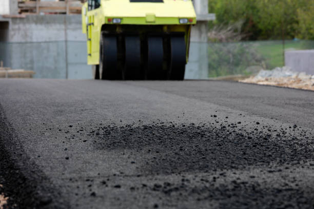 Best Local Driveway Pavers  in Dimmitt, TX