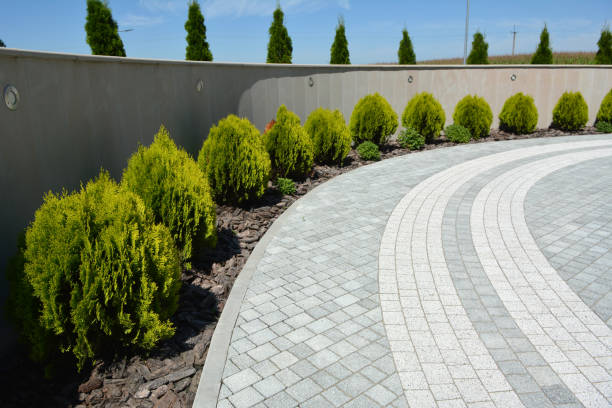 Best Driveway Paving Contractor  in Dimmitt, TX