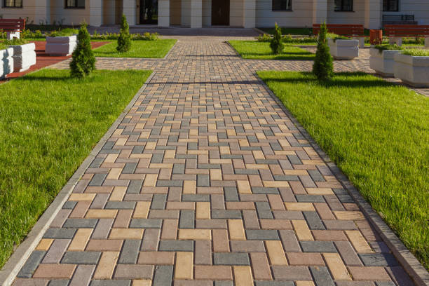 Best Professional Driveway Pavers  in Dimmitt, TX